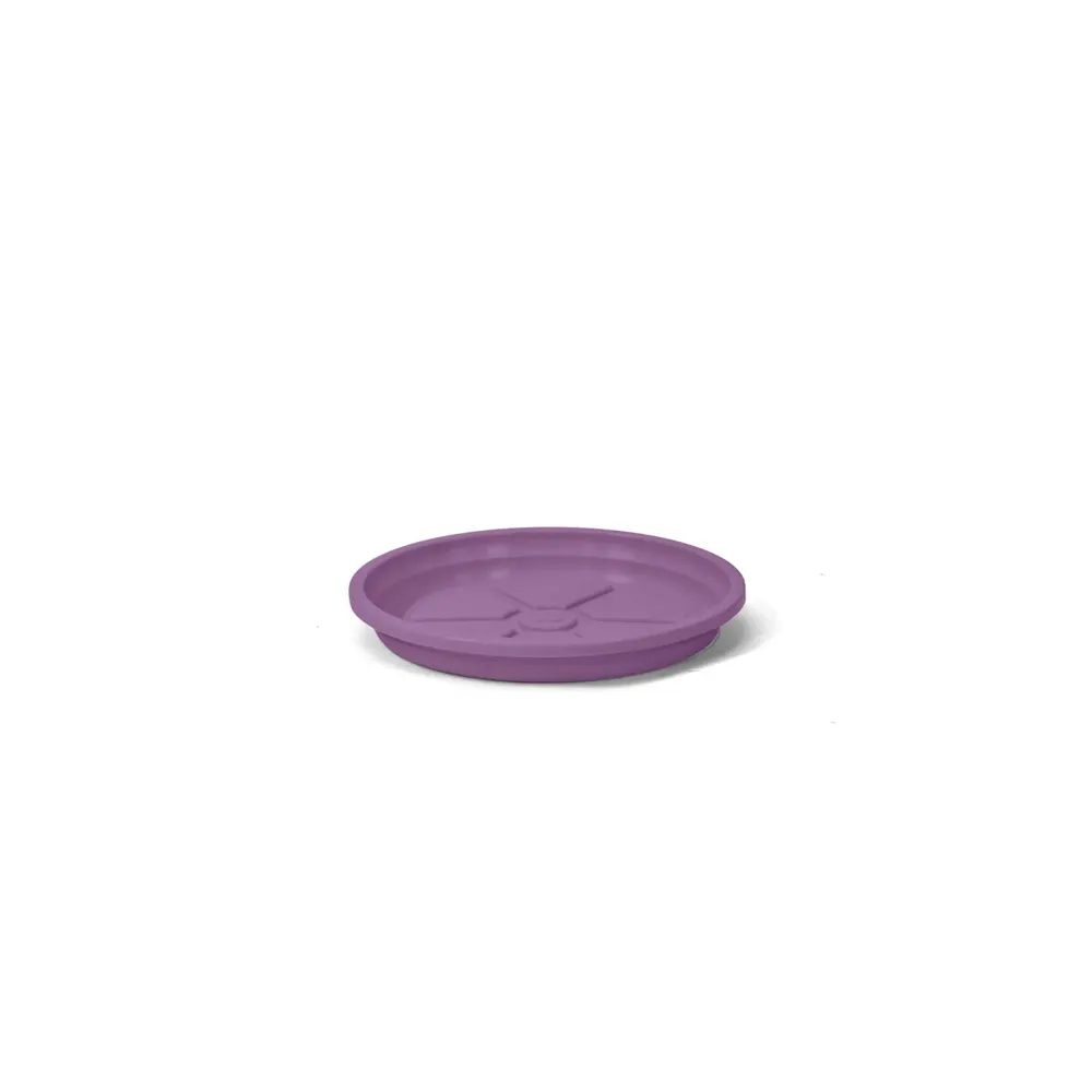 Prato Redondo Aquarela Nutriplan Roxo Amora — foto 5
