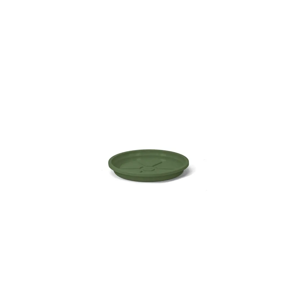 Prato Redondo Aquarela Nutriplan Verde Boldo