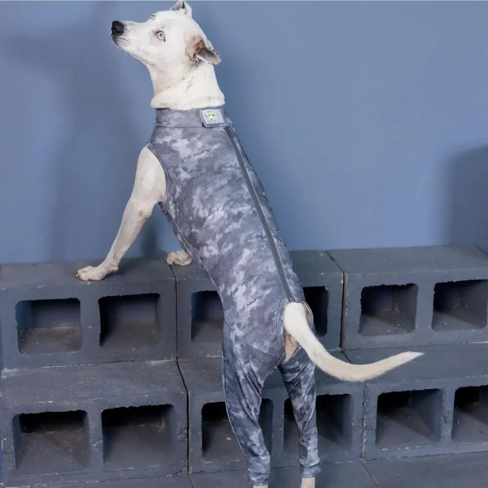 Protetor para Membros Posteriores para Cães Pet Med — foto 6