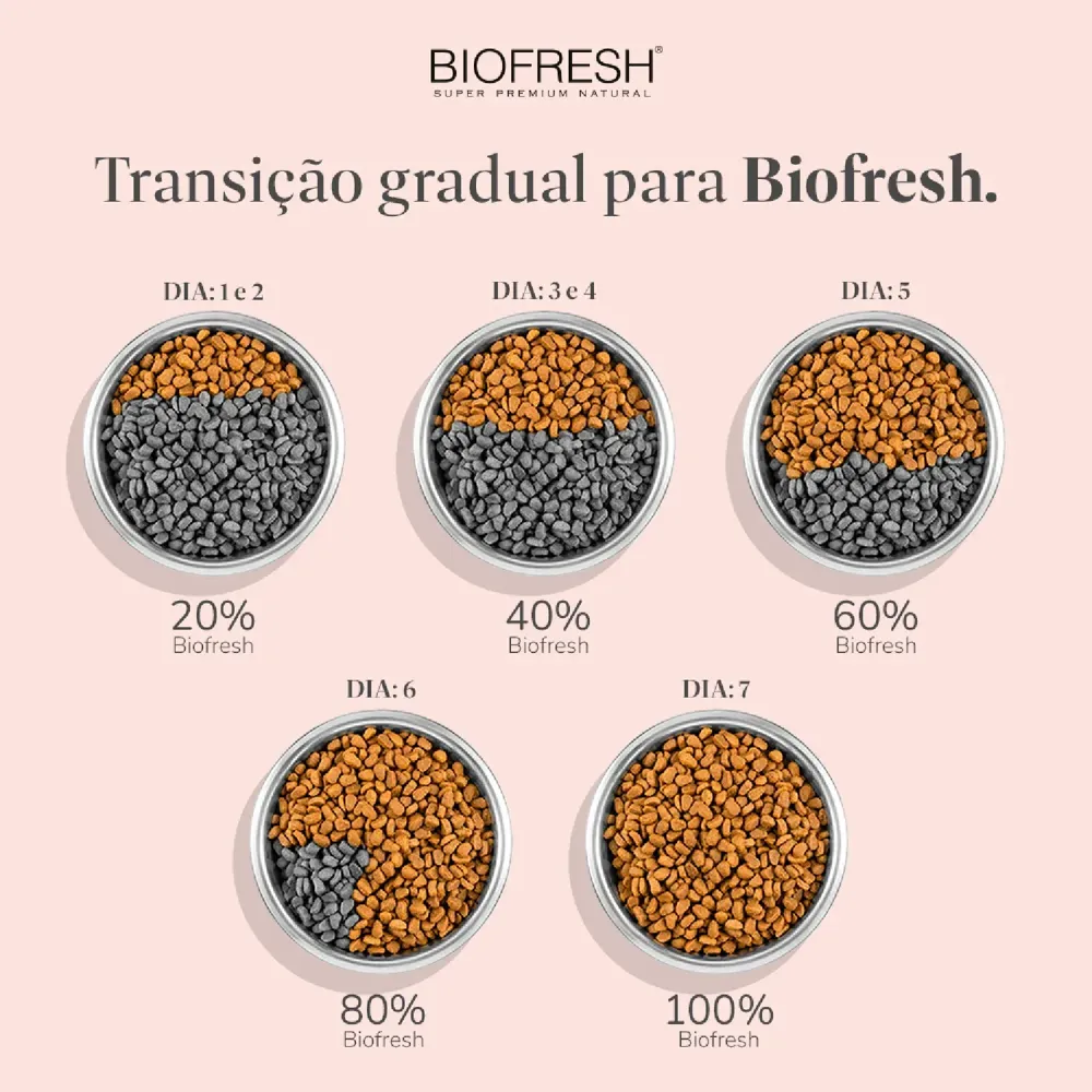Ração Biofresh Cães Adultos Raças Médias — foto 6