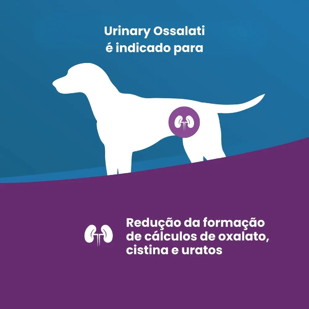 Ração Vet Life Natural Canine Urinary Ossalati — foto 2