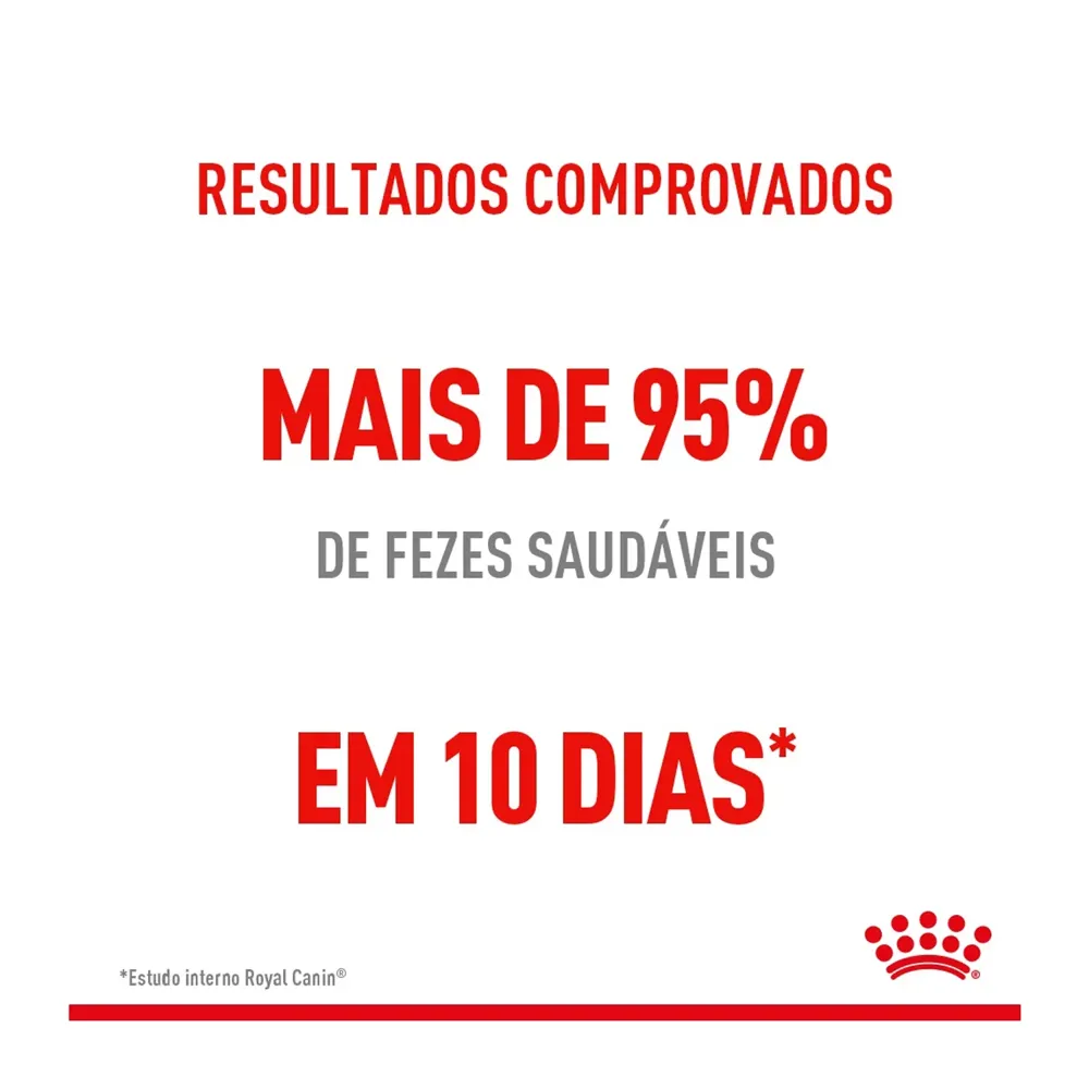 Ração Royal Canin Cuidado Digestivo para Gatos Adultos — foto 4
