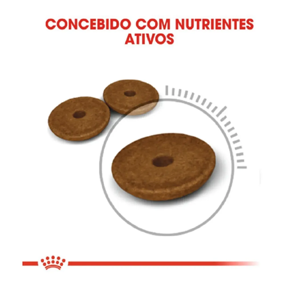 Ração Royal Canin Cuidado Digestivo para Gatos Adultos — foto 6