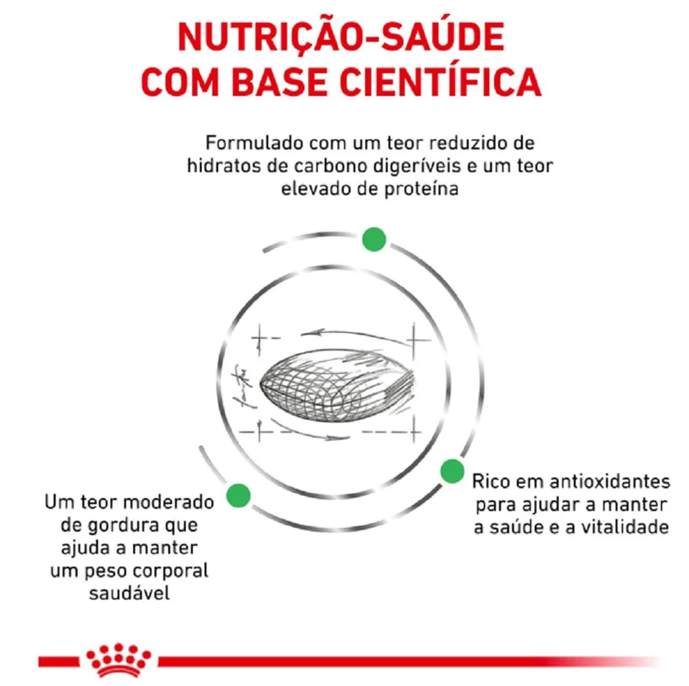 Ração Royal Canin Diabetic Gatos Adultos — foto 3
