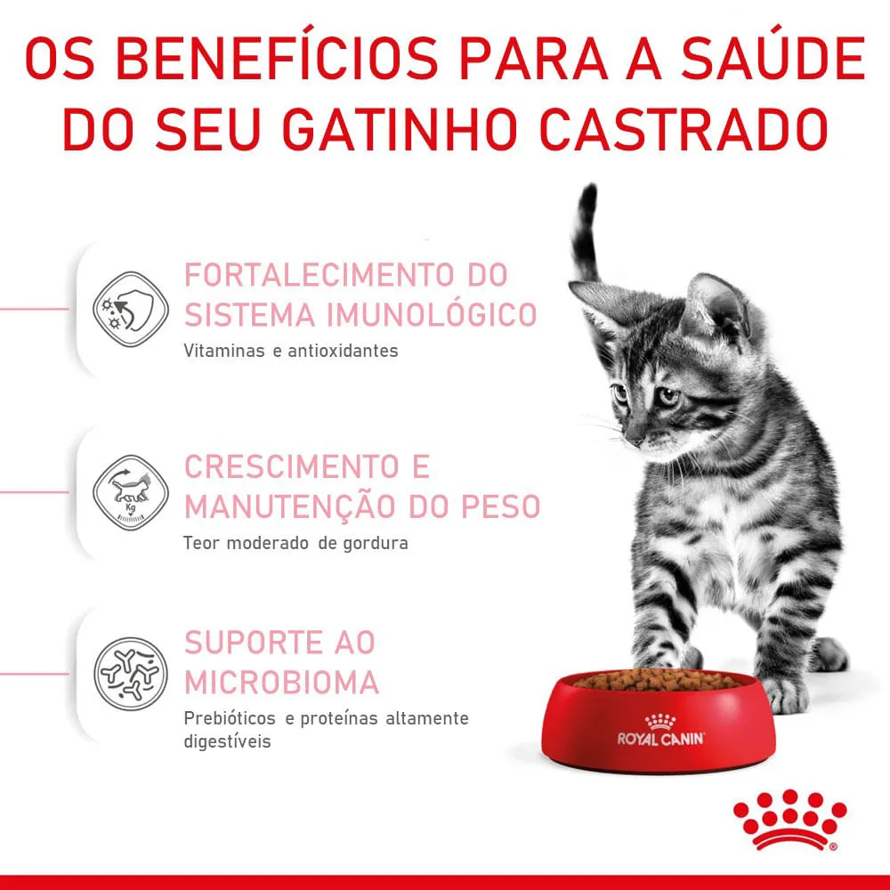 Ração Royal Canin Gatos Filhotes Castrados — foto 3