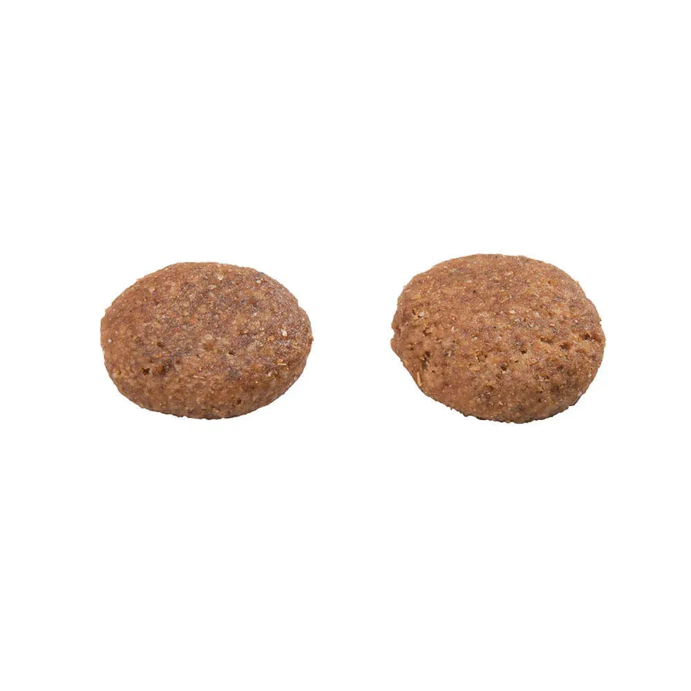Ração GranPlus Menu Carne e Arroz para Cães Adultos de porte Médio e Grande — foto 4