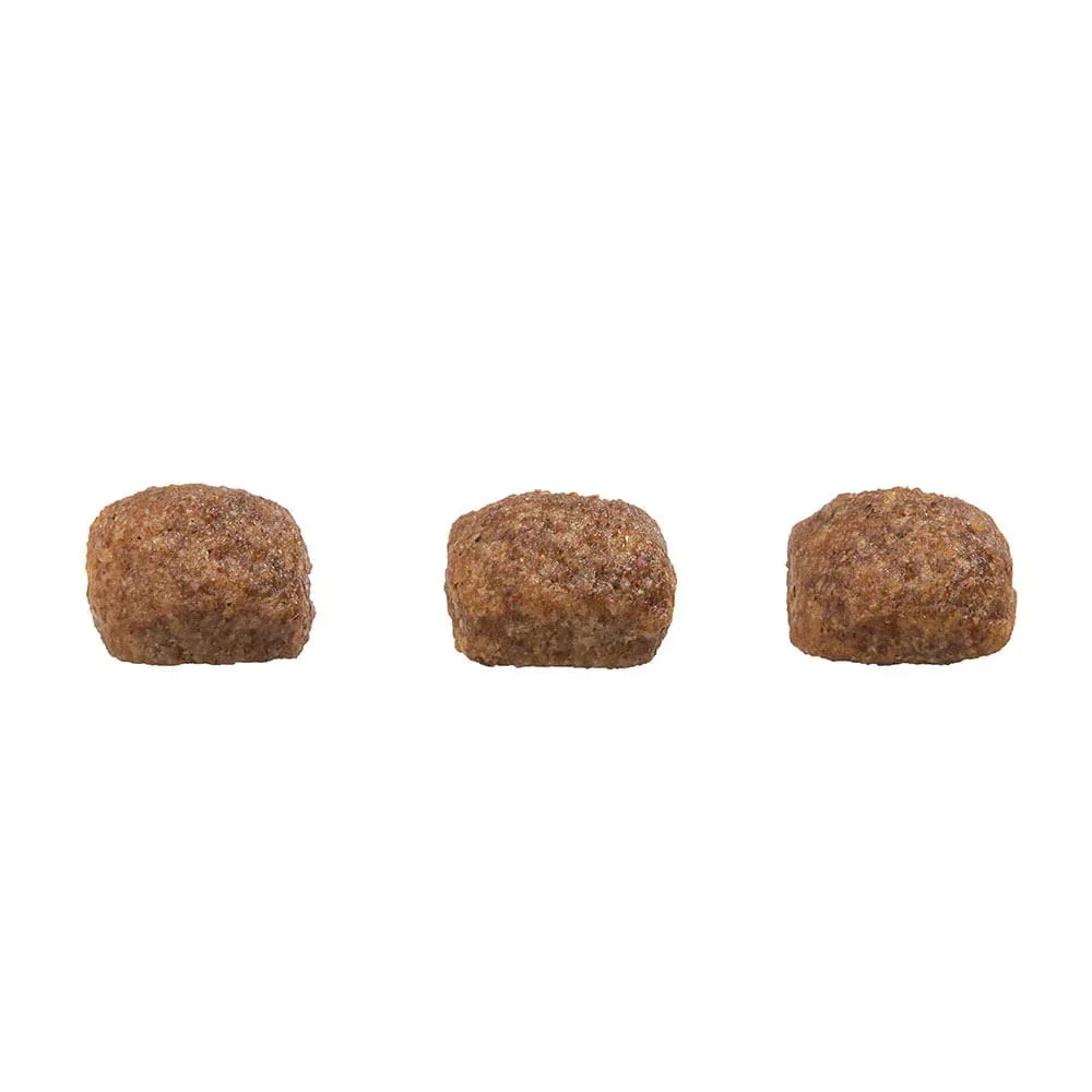Ração GranPlus Menu Cães Adultos Mini Carne e Arroz — foto 3