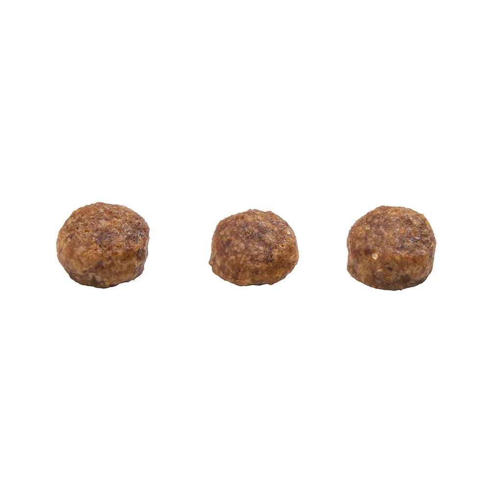 Ração GranPlus Menu Cães Filhotes Mini Frango e Arroz — foto 3
