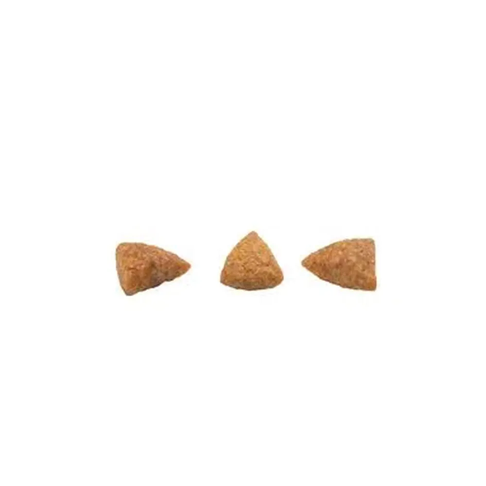 Ração GranPlus Menu Gatos Adultos Castrados Frango e Arroz — foto 3