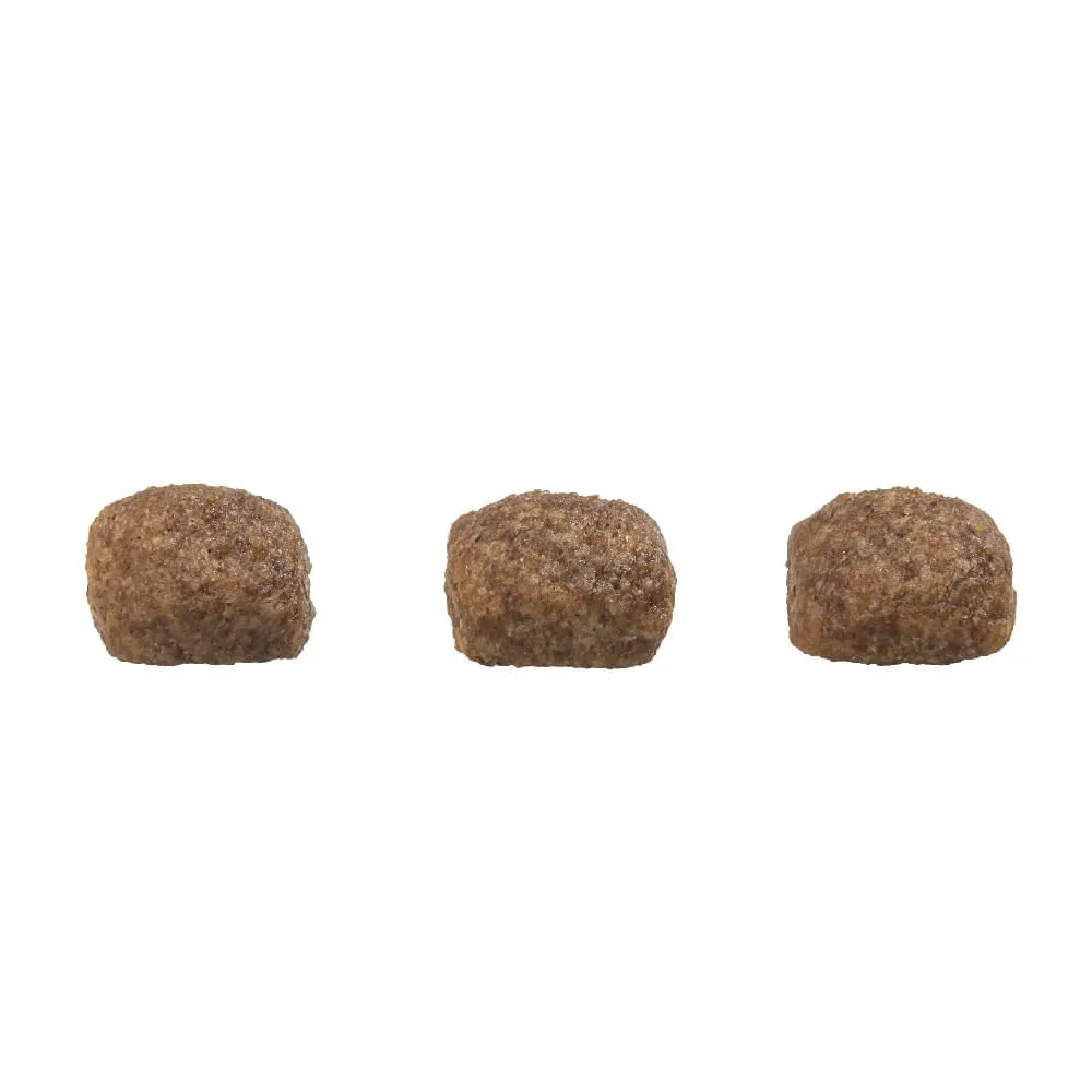 Ração GranPlus Gourmet Cães Filhotes Médio e Grande Ovelha e Arroz — foto 3
