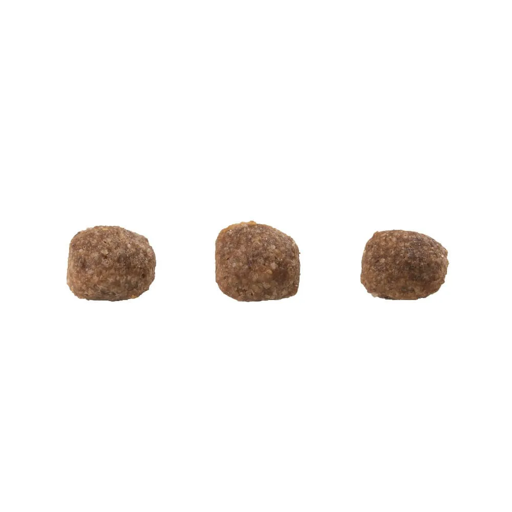 Ração GranPlus Gourmet Gatos Filhotes Salmão e Frango — foto 2