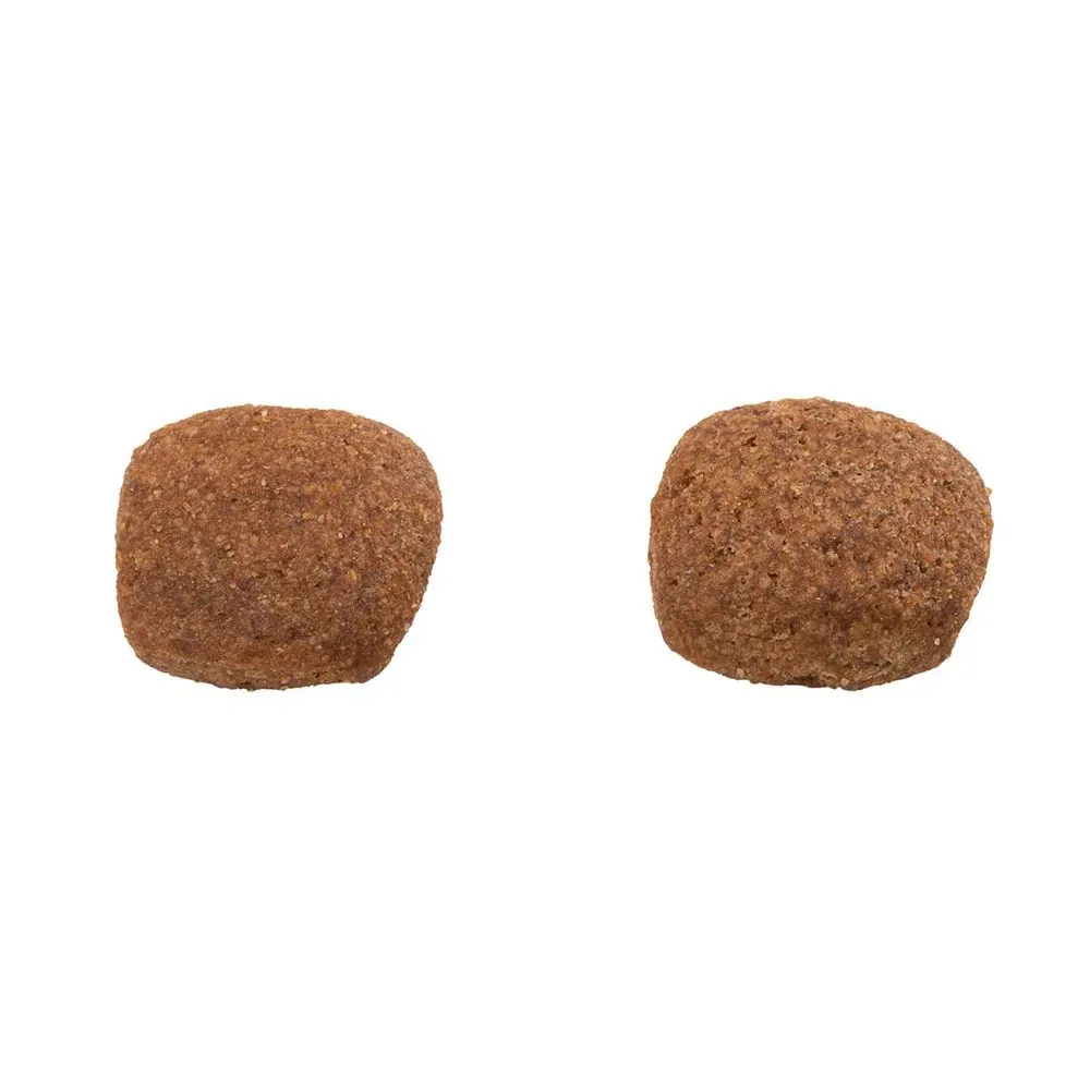 Ração Guabi Natural Cães Adultos Médio Frango e Arroz — foto 3