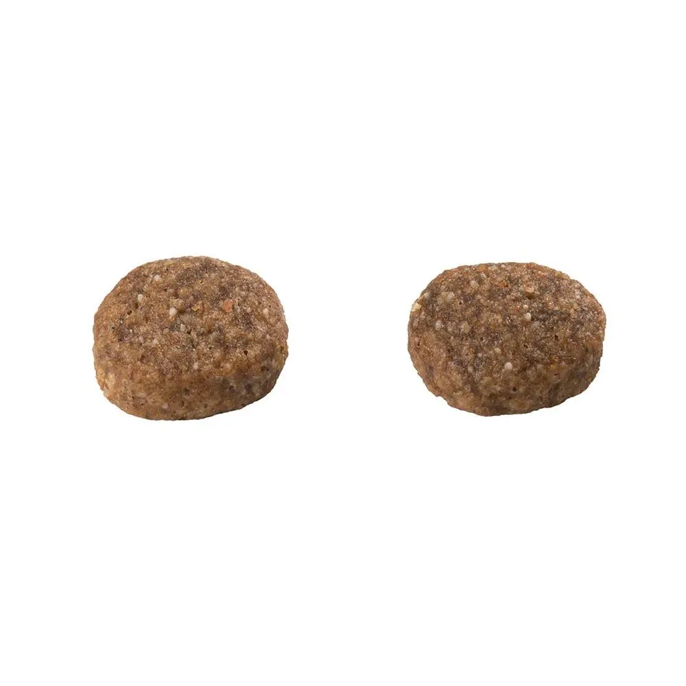 Ração Guabi Natural Cães Adultos Sensitive Raças Mini, Pequeno e Médio Salmão e Aveia — foto 3
