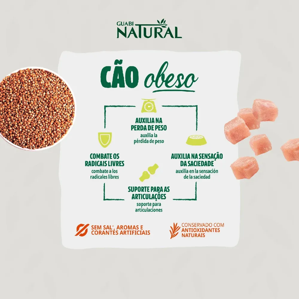 Ração Guabi Natural Cães Obesos Mini e Pequeno — foto 4