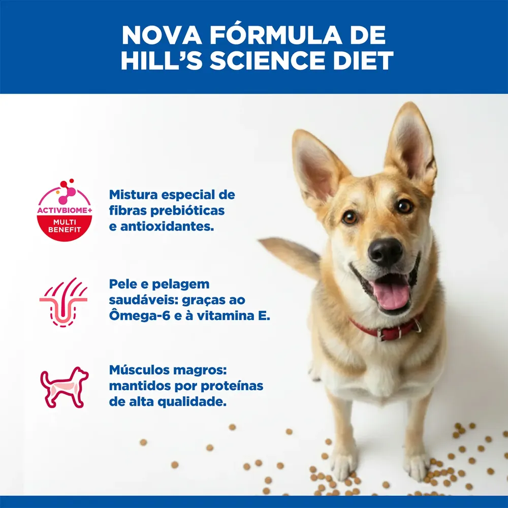 Ração Hill's Science Diet para Cães Adultos Sabor Frango — foto 5