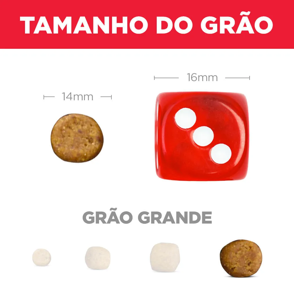 Ração Hill's Science Diet Cães Filhotes Raças Grandes Sabor Frango — foto 6