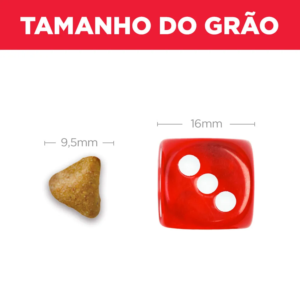 Ração Hill's Science Diet Controle Bolas de Pelo para Gatos Adultos Sabor Frango — foto 6