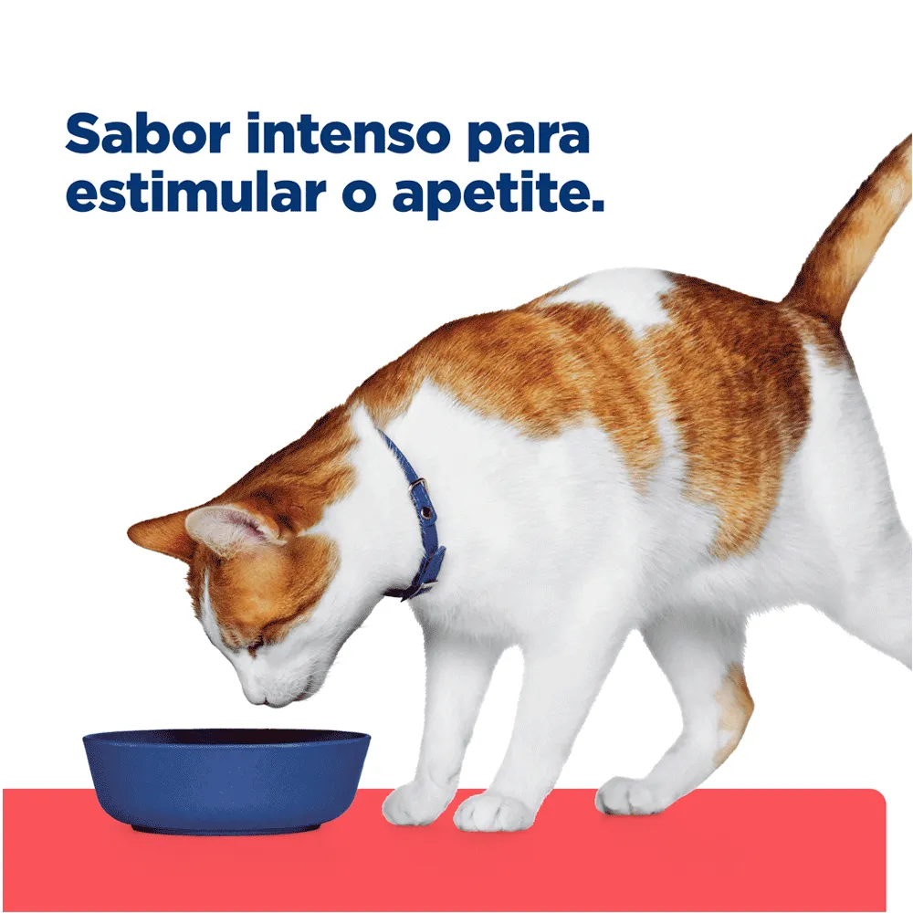 Ração Hill's Prescription Diet Gatos ONC Care Cuidado Oncológico — foto 5