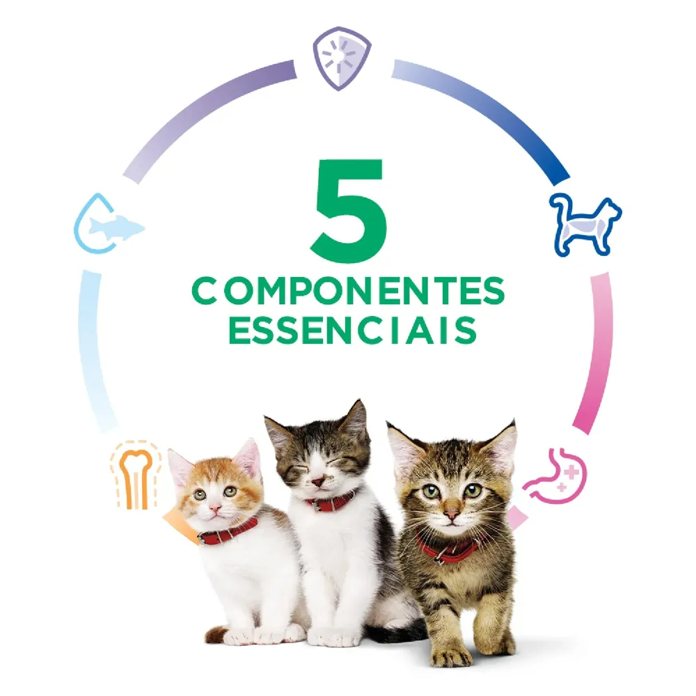 Ração Hill's Science Diet para Gatos Filhotes Sabor Frango — foto 4