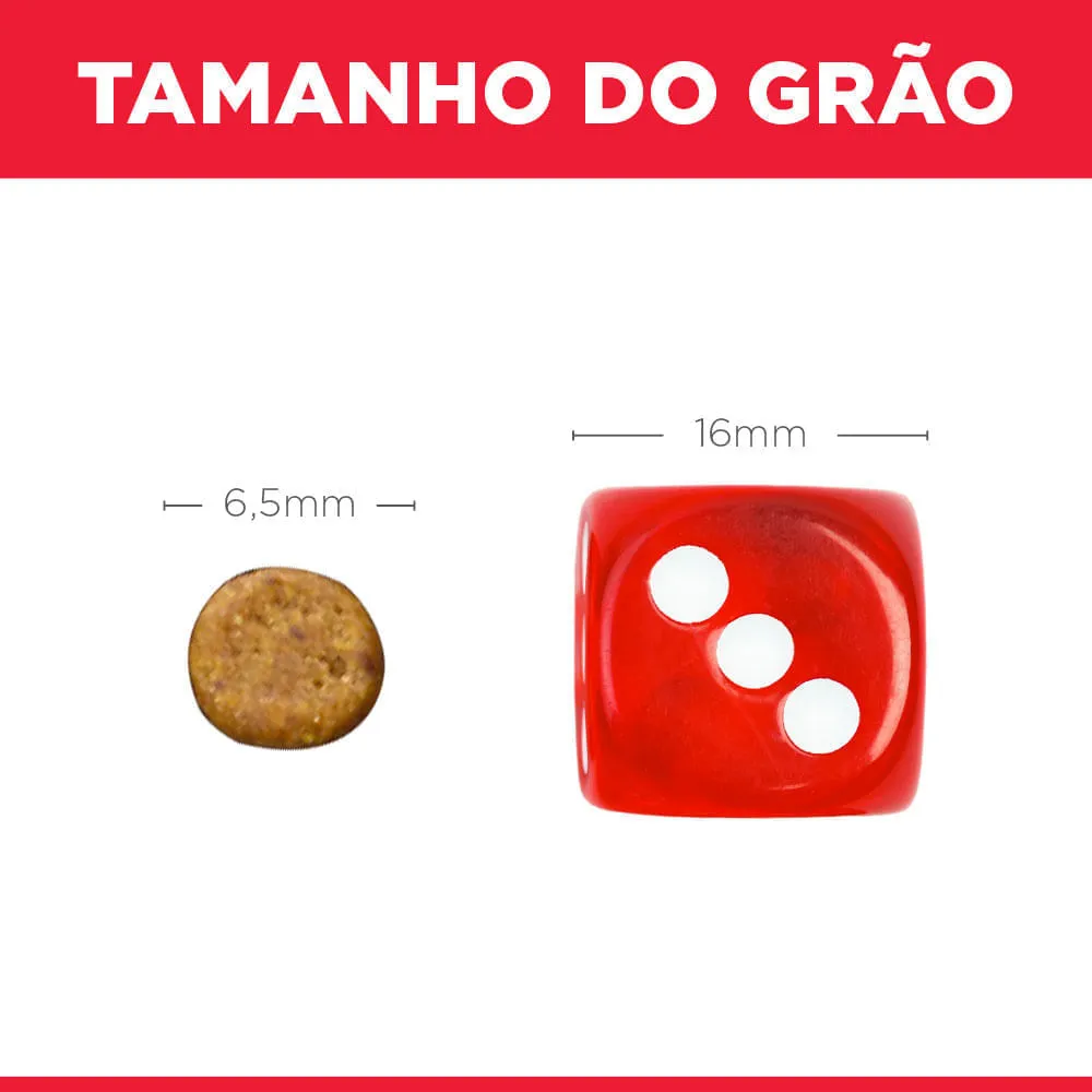 Ração Hill's Science Diet para Gatos Filhotes Sabor Frango — foto 5