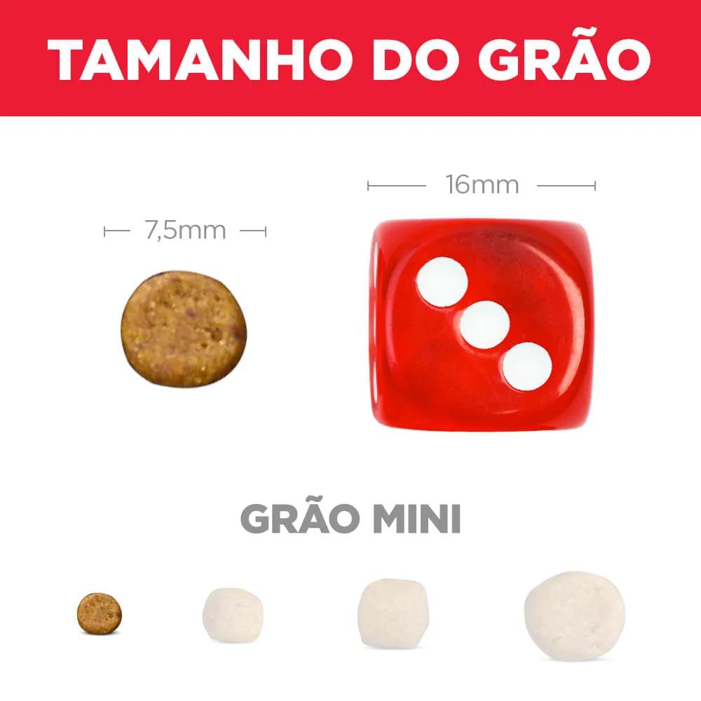 Ração Hill's Science Diet Cães Filhotes Pequenos e Mini Sabor Frango — foto 5