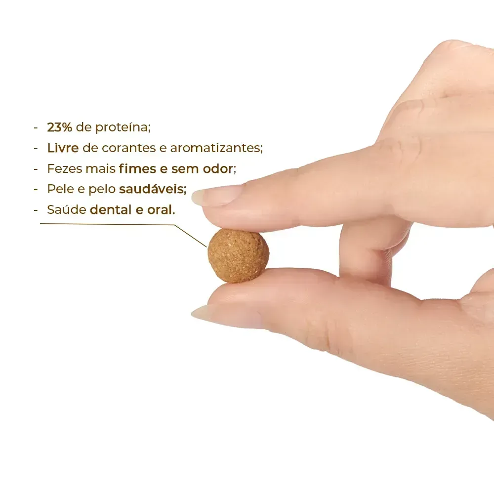Ração Joy High Premium Cães Adultos Raças Médias e Grandes Frango e Carne — foto 5