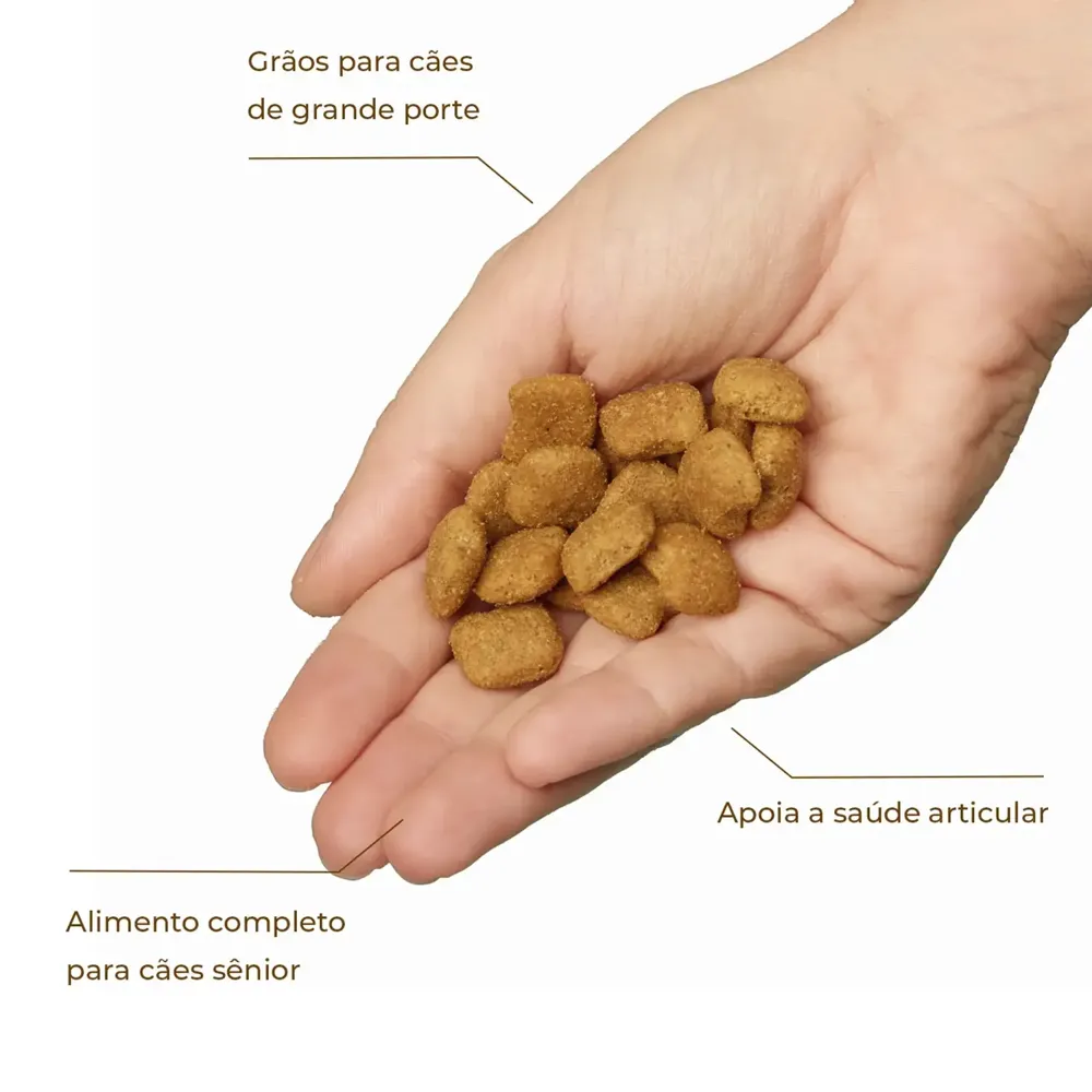 Ração Joy High Premium Cães Sênior Raças Médias e Grandes Frango e Carne — foto 3