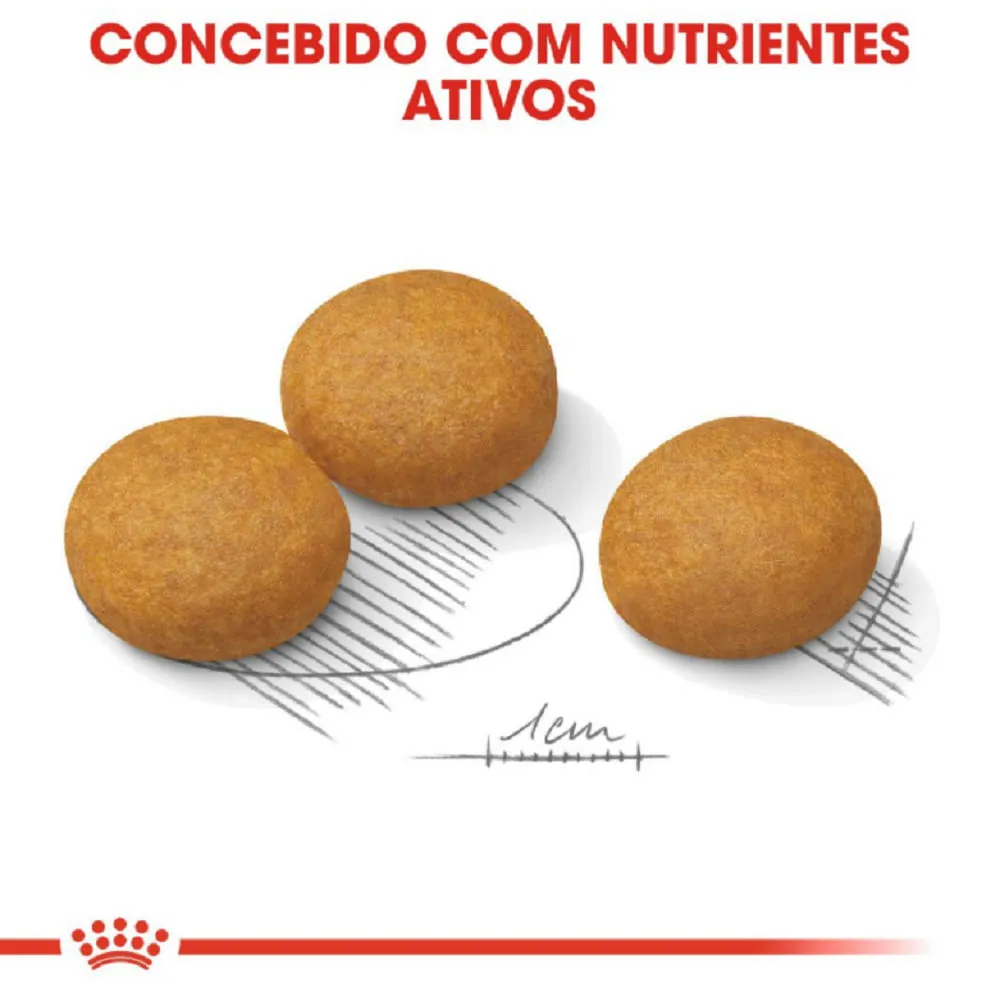 Ração Royal Canin Maxi Dermacomfort Cães Adultos e Idosos — foto 3