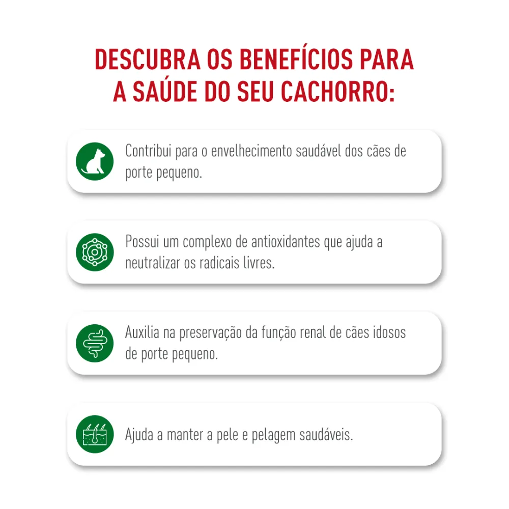 Ração Royal Canin Mini Ageing 12+ Cães Idosos — foto 3