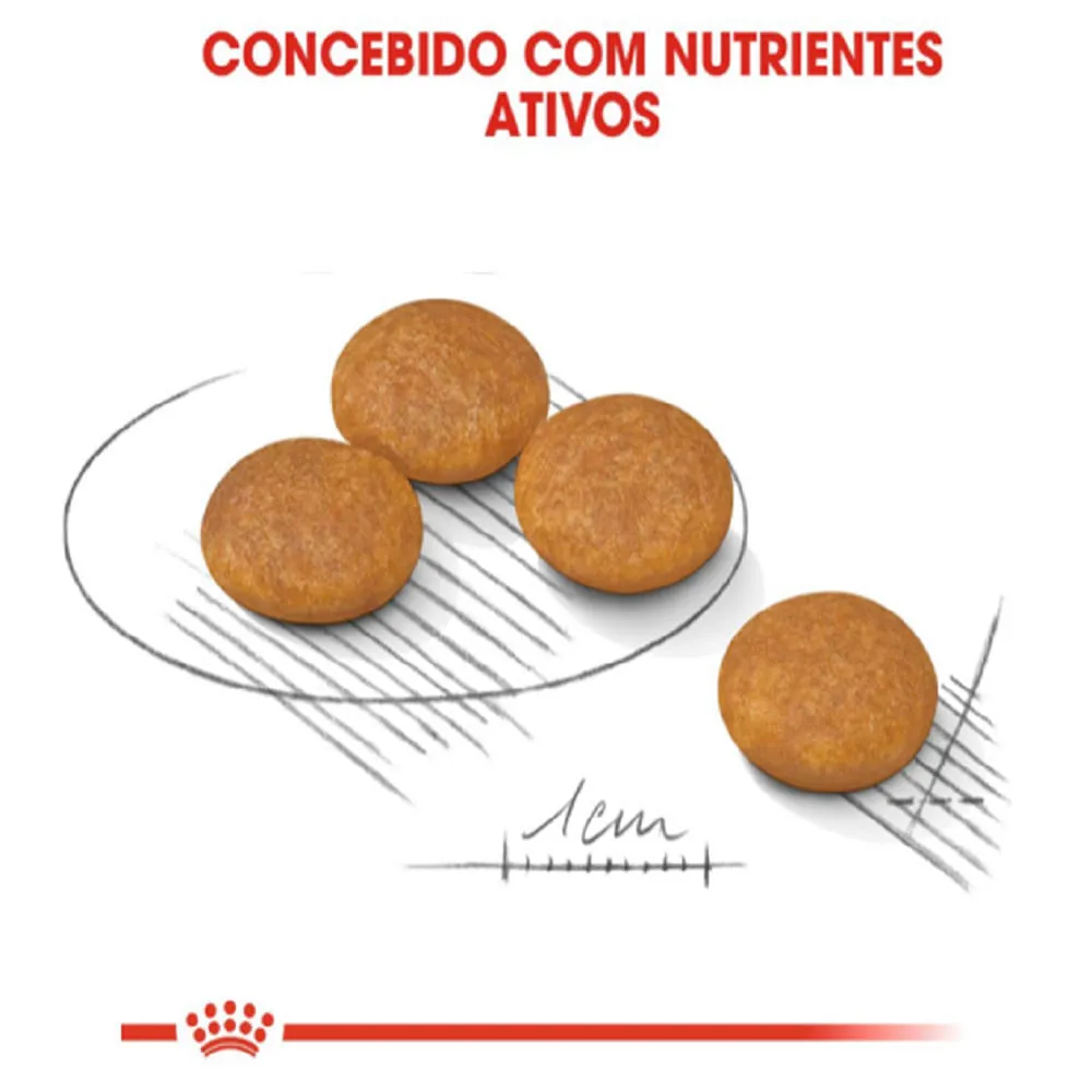 Ração Royal Canin Mini Dermacomfort Cães Adultos e Idosos — foto 4