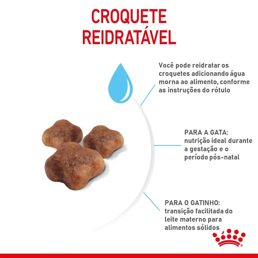 Ração Royal Canin Mother & Babycat — foto 4