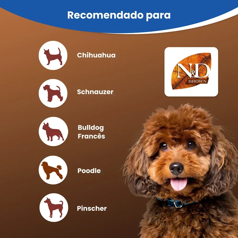 Ração N&D Brown Cães Adultos Mini — foto 5