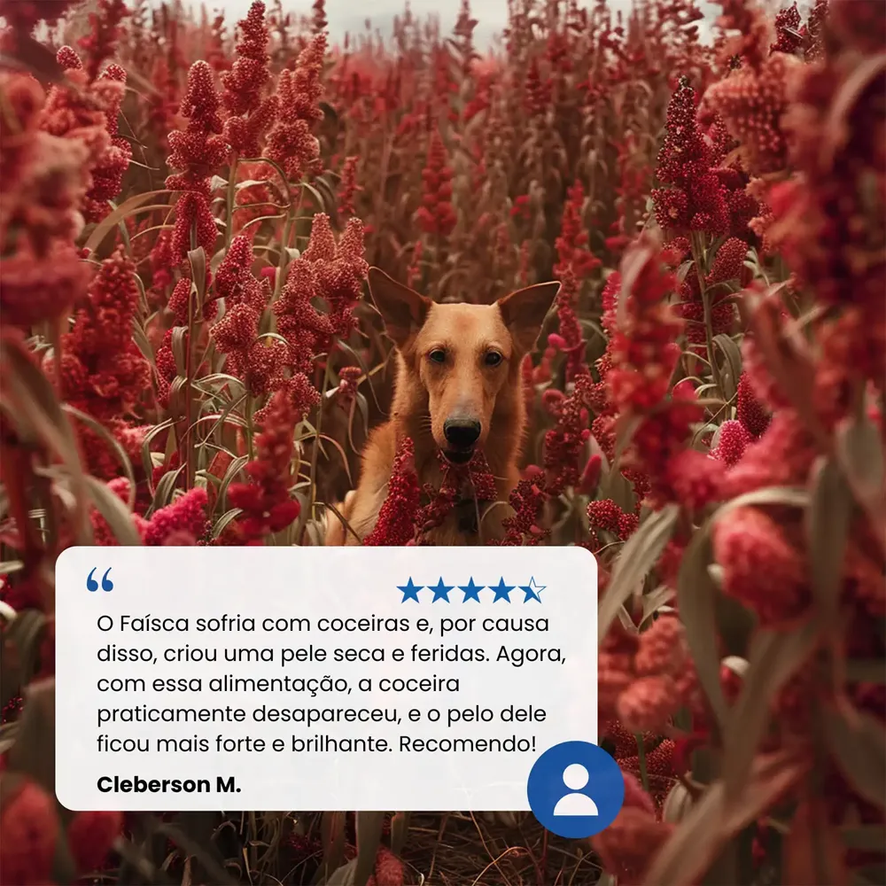 Ração N&D Quinoa Cães Adultos Skin & Coat Pato — foto 6