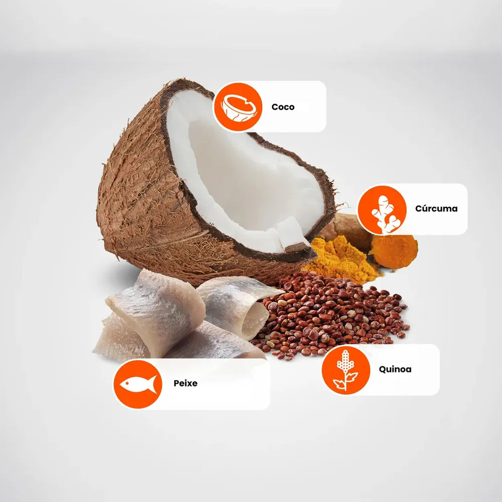 Ração N&D Quinoa Cães Adultos Skin & Coat Peixe — foto 3