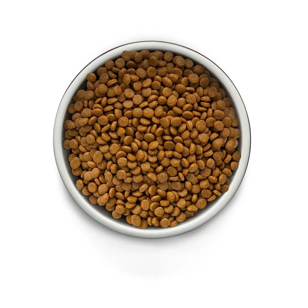 Ração Guabi Natural Grain Free Cães Adultos Raças Mini Pequeno Frango e Lentilha — foto 3