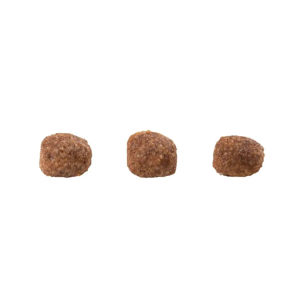 Ração Guabi Natural Cães Filhotes Raças Mini e Pequenas Frango e Arroz Integral — foto 3