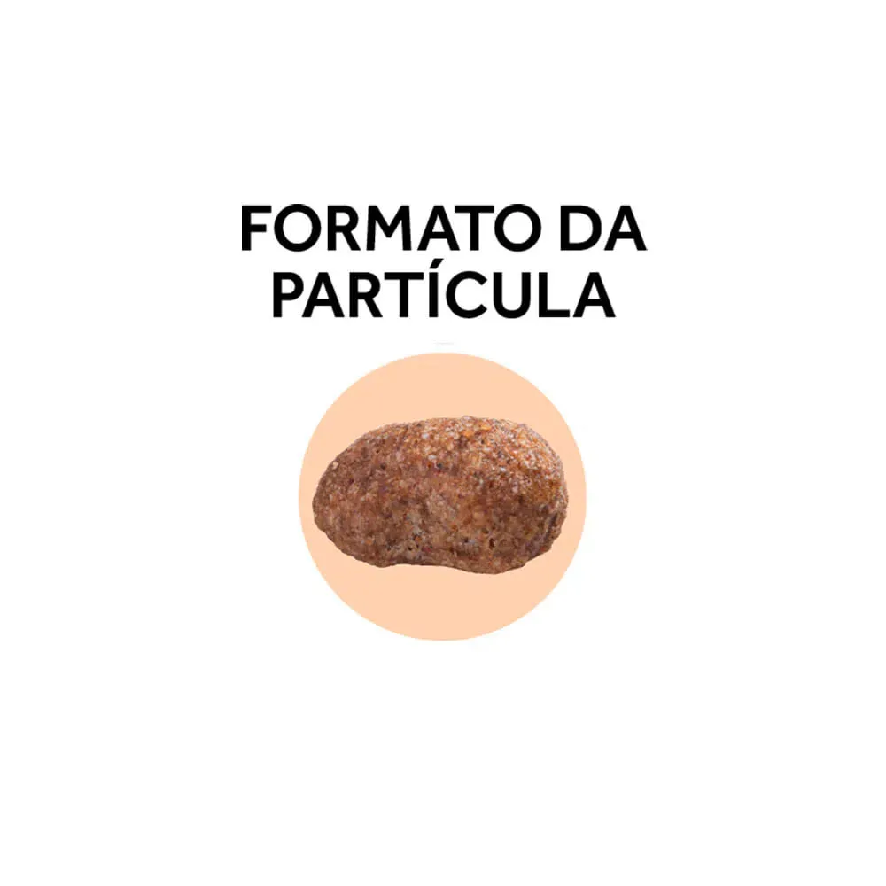 Ração GranPlus Gourmet Cães Adultos Médio e Grande Ovelha e Arroz — foto 3