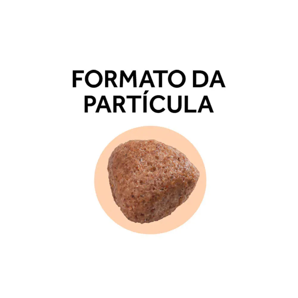 Ração GranPlus Gourmet Cães Adultos Médio e Grande Salmão e Frango — foto 3