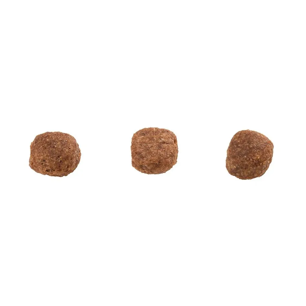 Ração Guabi Natural Cães Adultos Raças Mini e Pequenas Frango e Arroz Integral — foto 3