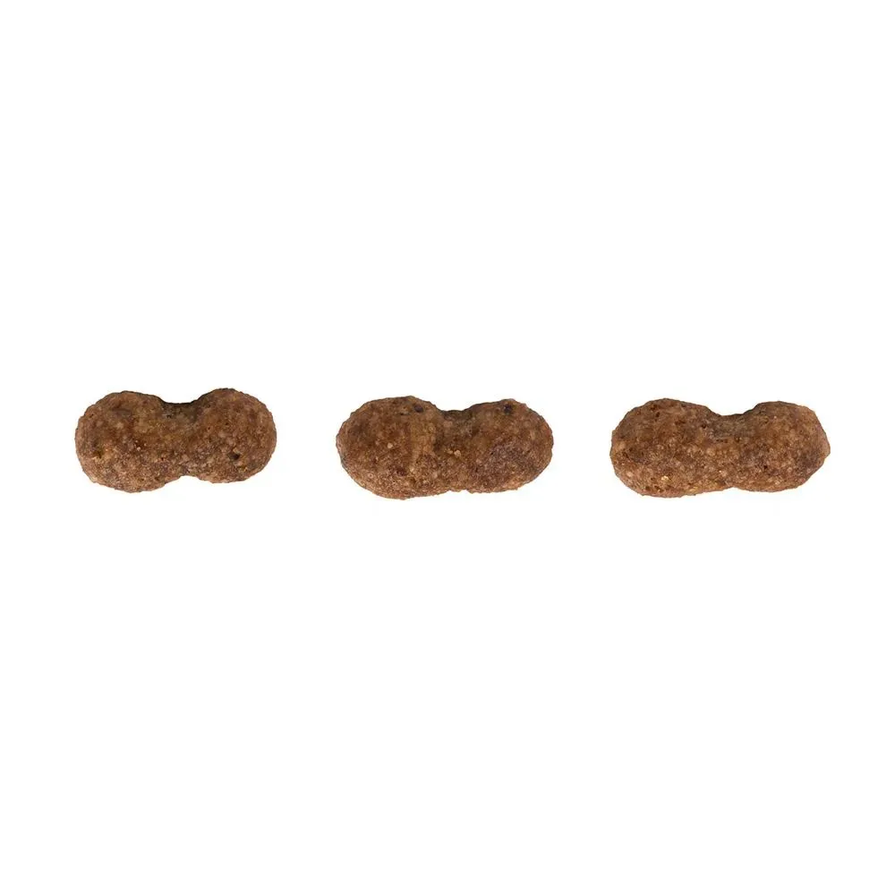 Ração Guabi Natural Cães Adultos Raças Mini e Pequenas Salmão e Cevada — foto 3