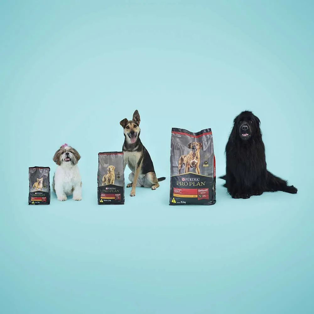 Ração Pro Plan Cães Adultos Raças Pequenas — foto 2