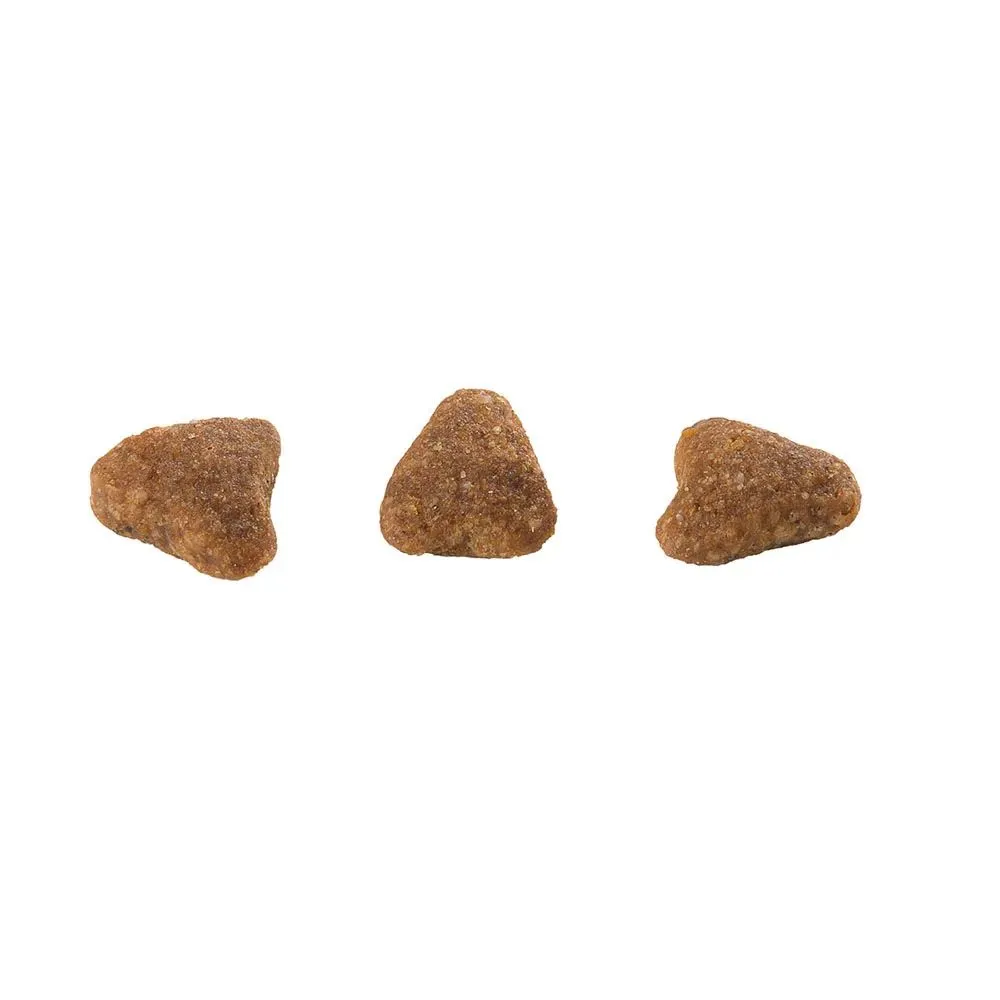 Ração Guabi Natural Gatos Adultos Salmão e Cevada — foto 3
