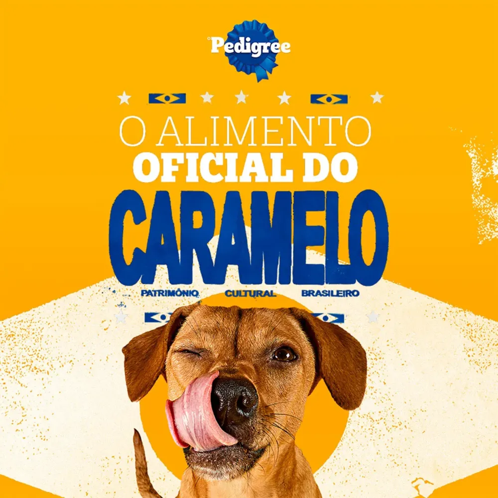Ração Pedigree Barriguinha Saudável Salmão Cães Adultos Raças Pequenas e Minis — foto 6