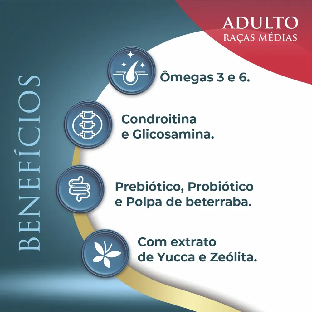 Ração Qualiday Pro Life Cães Adultos Raças Médias e Grandes Frango, Batata Doce e Cúrcuma — foto 3