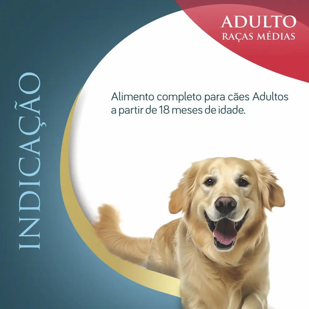 Ração Qualiday Pro Life Cães Adultos Raças Médias e Grandes Frango, Batata Doce e Cúrcuma — foto 4
