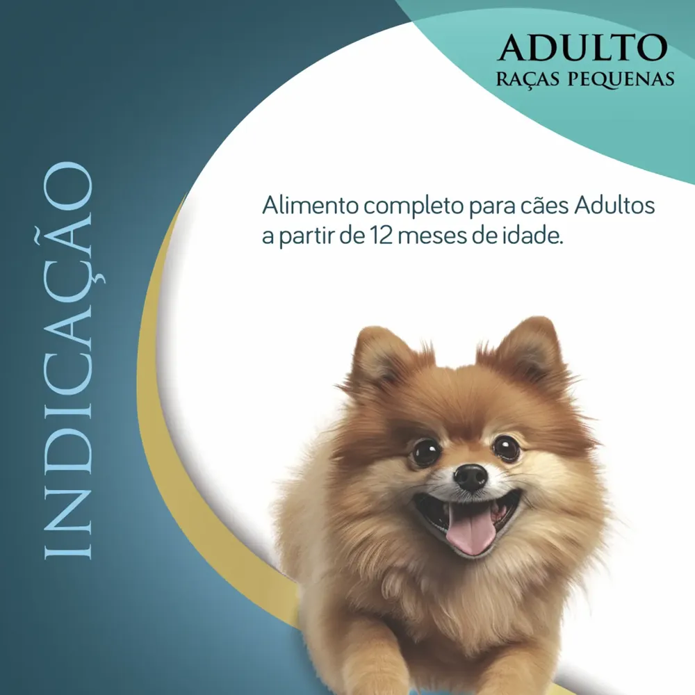 Ração Qualiday Pro Life Cães Adultos Raças Pequenas Frango, Batata Doce e Cúrcuma — foto 4