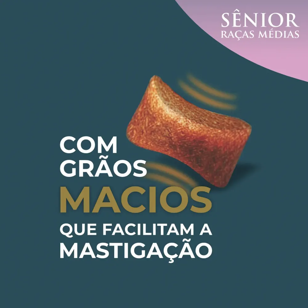 Ração Qualiday Pro Life Cães Sênior Raças Médias e Grandes Frango, Batata Doce e Romã — foto 4