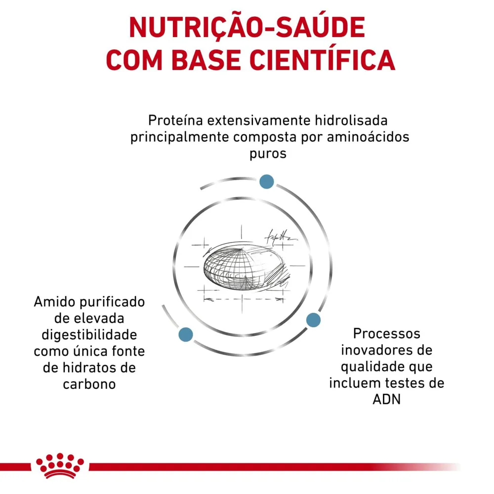 Ração Royal Canin Anallergenic Gatos Adultos — foto 3