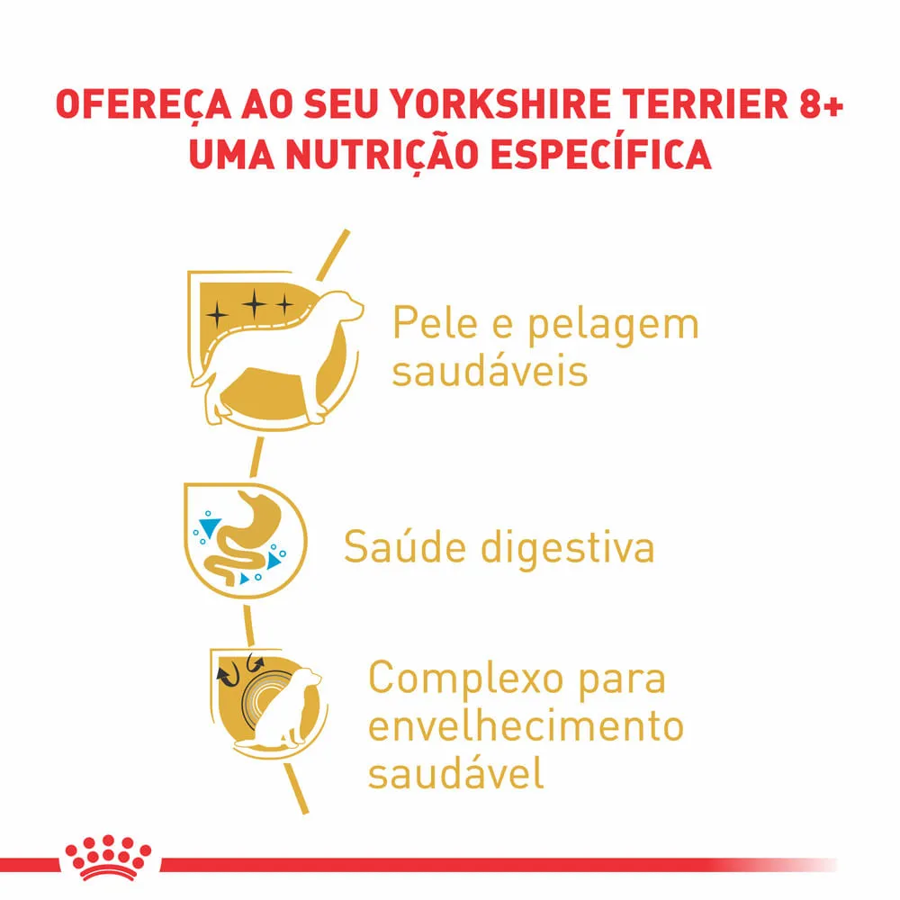 Ração Royal Canin Cães Adultos 8+ Yorkshire — foto 2