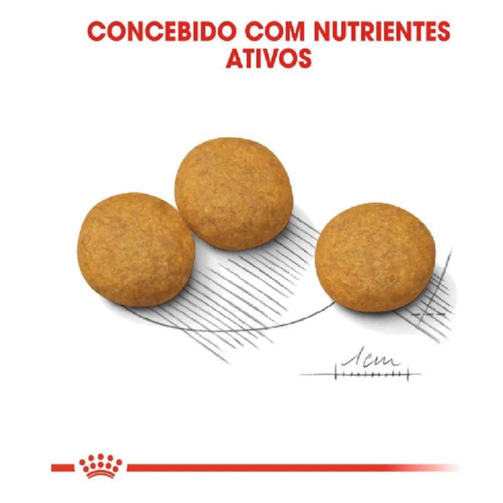 Ração Royal Canin Medium Dermacomfort Cães Adultos e Idosos — foto 3